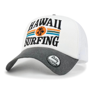 ILILILY 'Hawaii Surfing' Grey Cap