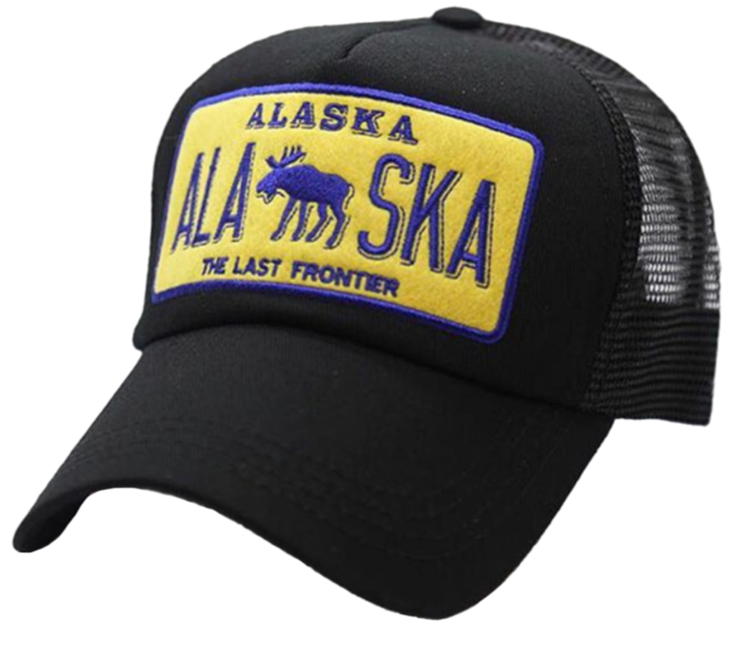 AZ Alaska Black Mesh Cap